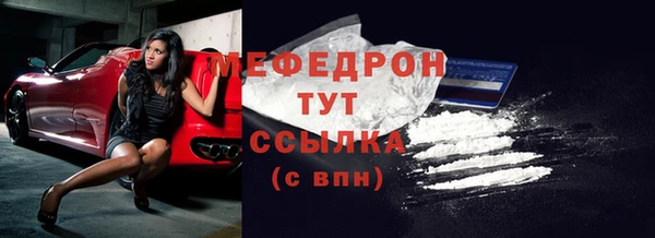 индика Михайловск