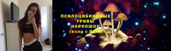 амфетамин Алексеевка