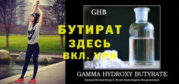 индика Михайловск