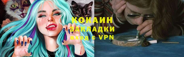 индика Михайловск