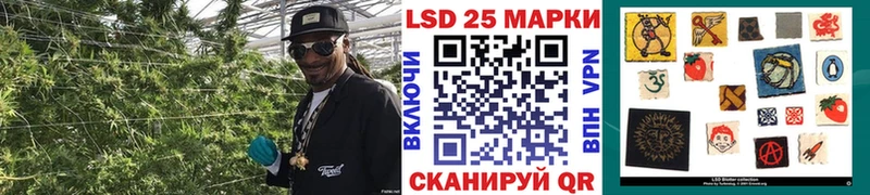 купить наркоту  Бердск  Марки N-bome 1500мкг 
