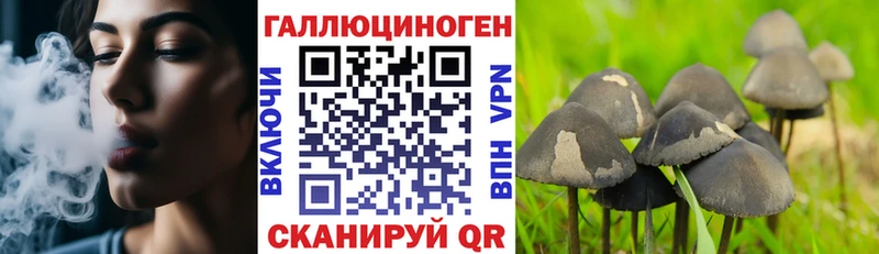Псилоцибиновые грибы GOLDEN TEACHER  Бердск 