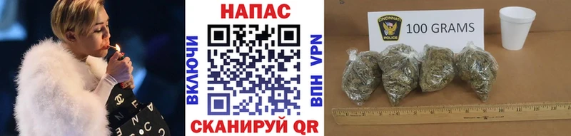 Каннабис OG Kush  Бердск 